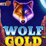 Petunjuk bermain agar memperoleh kemenangan Wolf Gold