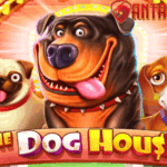 Cara Mudah Agar Menang Bermain di Game The Dog House®